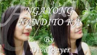 Ngayong Nandito Ka By Divo Bayer With Lyricswmv [upl. by Suoinuj249]