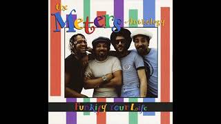 The Meters Anthology Funky Your Life 1 [upl. by Odine]