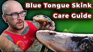 Blue Tongue Skink Care Guide 2024 [upl. by Daraj]