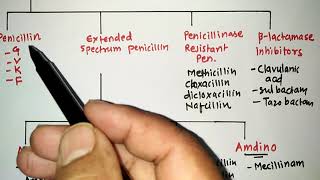 BLACTUM ANTIBIOTICS WITH TRICKS 1PENICILLIN  RRB PHARMACIST EXAM  GPAT  ESIC  PART 45 [upl. by Acirederf]