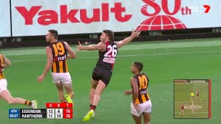 Essendon Highlights  Rd 2 2015 v Hawthorn [upl. by Ynaffad]