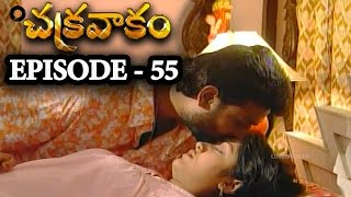 Episode 55  Chakravakam Telugu Daily Serial [upl. by Enirehtacyram]