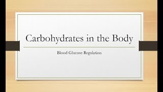 Carbohydrates in the Body [upl. by Zohar863]