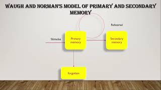 UNIT 4 MODELS OF INFORMATION PROCESSING PART 1 [upl. by Carrissa]