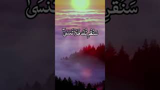 Heart touching quran tilawat 🧡। Abdul Rahman Mossad। surah al Ala। quran recitation।shortsquran [upl. by Attah]