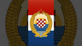 My socialist version of ex yugoslav flags history yugoslavia historyofyugoslavia belgrade [upl. by Kain280]