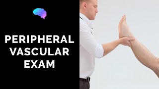 Peripheral Vascular Examination  OSCE Guide Latest  UKMLA  CPSA [upl. by Emelina]