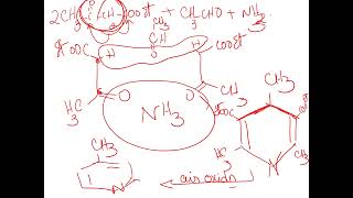 English 6membered heterocyclic compounds [upl. by Ylrahc]