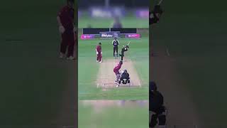 stunning catch in county championship cricket sommerset cricketfan [upl. by Aneekat]