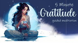 5 Minute Gratitude Meditation [upl. by Cinemod546]