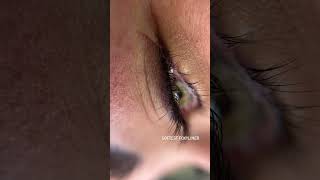 Permanent Eye Makeup Eyeliner Arrow Tutorial  Master PMU 5starbrows [upl. by Delwin]