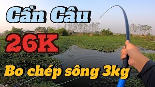 Câu Cá Sông Cũ Bo Chép Gần 3kg Bằng Cần Câu 26K  Chuyện Câu Cá [upl. by Barger]