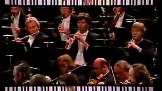 ARNOLD SCHOENBERG  Piano Concerto op 42 Excerpt [upl. by Okramed]