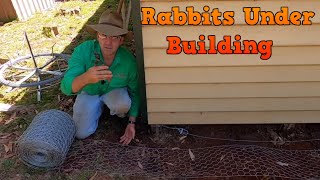 Rabbit Barrier Under Shed Keeping burrowing pests out from under buildings [upl. by Dajma]