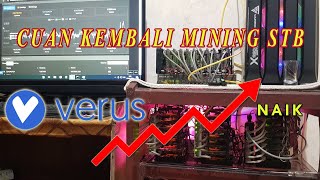 CUAN KEMBALI MINING STB [upl. by Aneehsram]