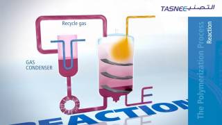 How Polymerization Works In A Gas Phase Reactor or how plastic is made [upl. by Banerjee]