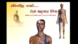 Paramartha Lokaya DVD 01 Time 3 Hours 21 Minutes SD Quality පරමාර්ථ ධර්ම විග්‍රහය [upl. by Laekcim85]