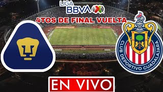 PUMAS VS CHIVAS EN VIVO CUARTOS DE FINAL VUELTA APERTURA 2023 LIGA MX [upl. by Jabin632]