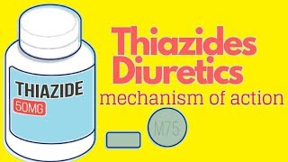 Thiazides Mechanism Of Action ANIMATED [upl. by Carlene566]