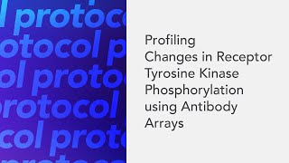 Profiling Changes in Receptor Tyrosine Kinase Phosphorylation using Antibody Arrays [upl. by Alliuqat]