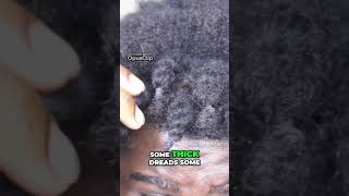 Thick Dreads Transformation My Hair Journey and Robo Kiyosaki Review [upl. by Aiveneg]