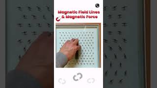 Practical Demonstration Of Magnetic Force And Magnetic Field Lines 🧲🧲 shorts magnet physics [upl. by Ellen]