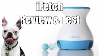 iFetch Frenzy Toy Review [upl. by Lydon]