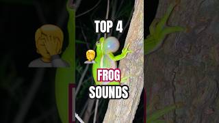 Frog language has subtitle [upl. by Enneirb]