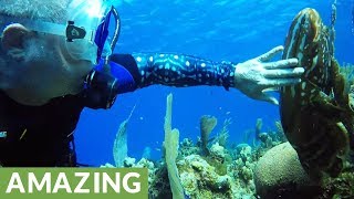 Giant fish follows scuba divers to get his chin rubbed [upl. by Zurc732]