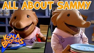 All About Sammy 🦔❤️  KoalaBrothersTV  20 Mins  Animation for Kids [upl. by Brion]