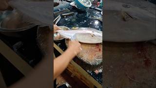 River leather jacket fishcutting freshwater shorts video [upl. by Tigdirb]