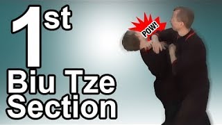 Wing Tsun 1st Biu Tze section  Part 1 [upl. by Ahsata]