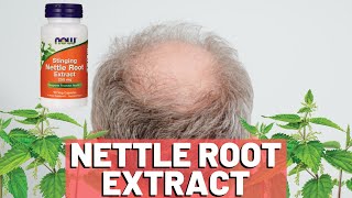 Nettle Root Extract How Does It Work For Hair Loss [upl. by Stoeber]