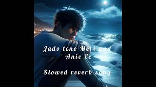 Jado teno Meri yad anee ee audio slowed reverbed songs Punjabi song [upl. by Nguyen]