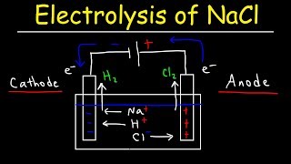 Electrolysis of Sodium Chloride  Electrochemistry [upl. by Towland331]