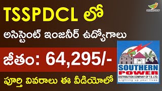 TSSPDCL AE Electrical Recruitment 2022 in Telugu Salary Eligibility TS Govt Jobs [upl. by Yk]