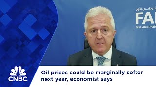 Oil prices could be marginally softer next year economist says [upl. by Docilu66]