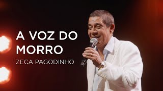 Maria Bethânia e Zeca Pagodinho  A Voz do Morro Vídeo Oficial [upl. by Taffy]