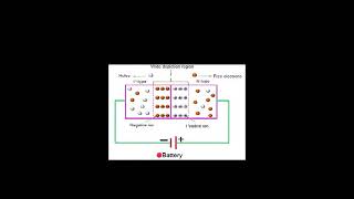 The PN Junction Diode [upl. by Tierell]