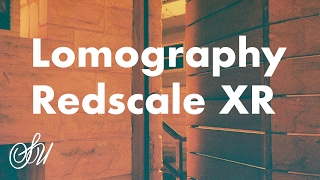 Lomography Redscale XR Review [upl. by Nive]