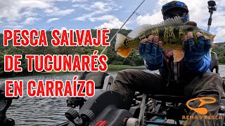 Pesca Salvaje de Tucunarés en Carraízo ¡Pura Acción de Pesca en Kayak jacksonkayaks [upl. by Aurelea]