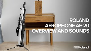 Roland Aerophone AE20 Overview and Sound Examples [upl. by Hebe]