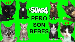 24 horas siendo bebes en los SIMS 4 jugando con gatitos Luna y Estrella  Gameplay en español [upl. by Neztnaj808]