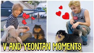 BTS V And His Dog Yeontan Cute Moments Feat Rocky [upl. by Hollerman270]