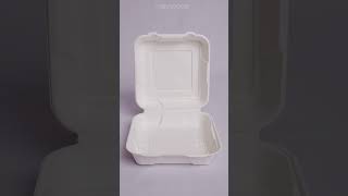 Disposable Compostable Sugarcane Bagasse Biodegradable Plate [upl. by Attenauq]