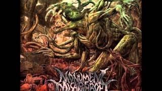 Monument Of Misanthropy  Anger Mismanagement Full Album [upl. by Florenza]