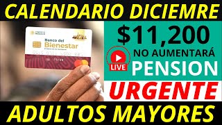 No aumentará la pensión 2025 Y calendario diciembre pago de 11 mil 200 💰✅ [upl. by Anaidiriv]