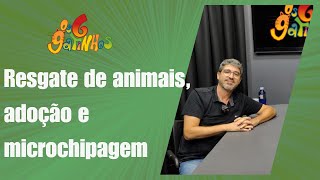 OS 6 GATINHOS  RESGATE DE ANIMAIS ADOÇÃO E MICROCHIPAGEM GRATUITA  T1 E1 [upl. by Pierrepont]