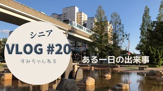 【シニアVLOG 20】シニア主婦の日常 美容室 小さな国際交流 孫のリモート運動会 ６０代 シニアライフ [upl. by Eran701]