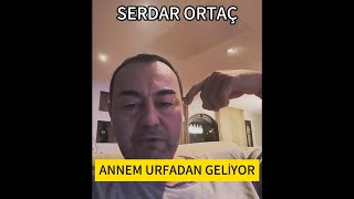 SERDAR ORTAÇ BENİM ANNEM URFADAN GELİYOR serdarortac magazinhaberserdarortaç keşfet [upl. by Ahsai]